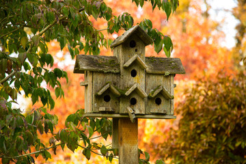 a bird apartment house on a post in a garden near Silverton, Oregon, with a blurred fall color background.