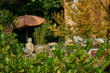 relaxed garden with cat and statue of naked woman