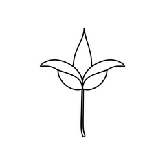 aster flower icon, line style