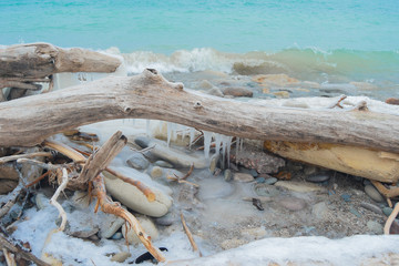 Frozen coast, dead trunk