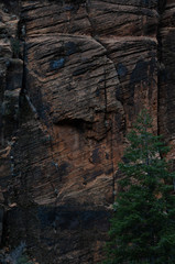 Zion National Park 
