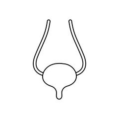 human body concept, bladder icon, line style