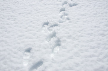 footprints in snow