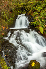 Shepards Del falls in the Columbia River Gorge National Scenic Area, Oregon.