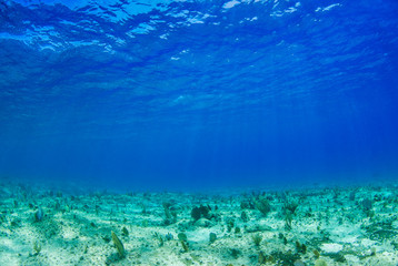A shot from below the surface of the sea showing light penetrating through the water