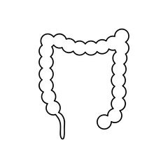 human body concept, large intestine icon, line style