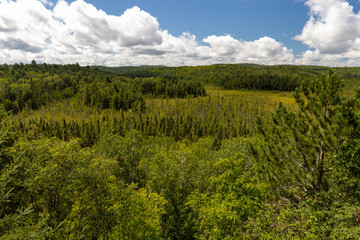 Wide vieuw of forest landscape at the in Algonquin Provincial Park Visitor Center
