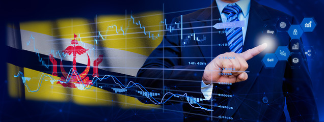 Fototapeta premium Businessman touching data analytics process system with KPI financial charts, dashboard of stock and marketing on virtual interface. With Brunei flag in background.