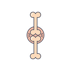 human body concept, bone joint icon, line fill style