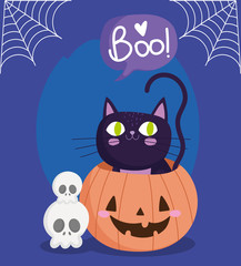 happy halloween, cat in pumpkin skulls cobweb trick or treat party celebration