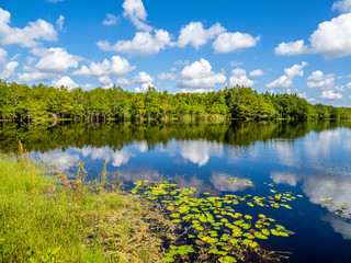 Blue sky with white clouds reflecting in Gator Lake on a summer day in Six Mile Cypress Slough Preserve in Fort Myers Florida in the United States