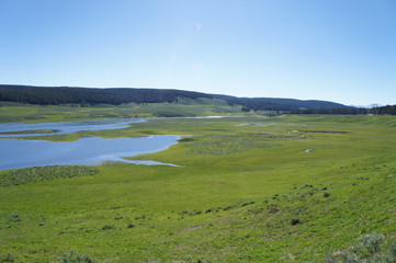 Fototapeta na wymiar Yellowstone National Park