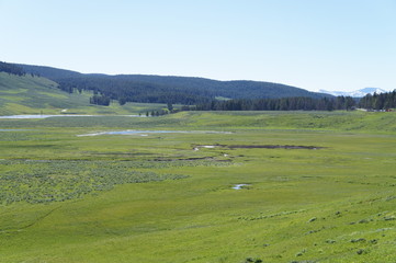 Yellowstone National Park