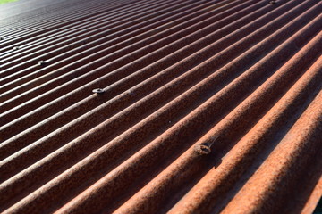 錆びたトタン屋根