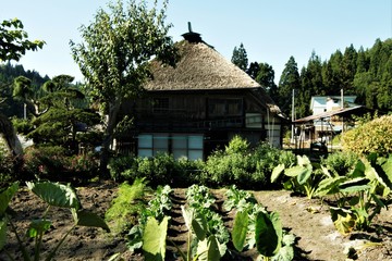 山村の秋かやふきの家
