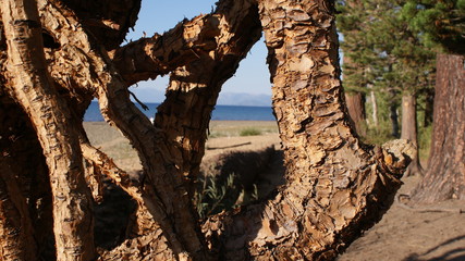 South Lake Tahoe