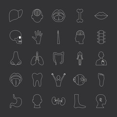 nose and human body parts icon set, line style