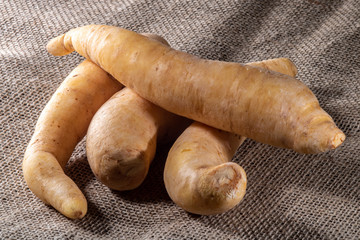 Potato baroa or Mandioquinha (Arracacia xanthorrhiza) on jute backgeound, photographed in studio in Brazil