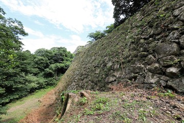 彦根城と玄宮園