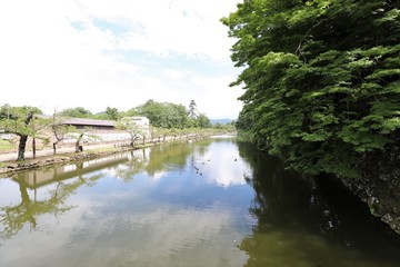Fototapeta na wymiar 彦根城と玄宮園