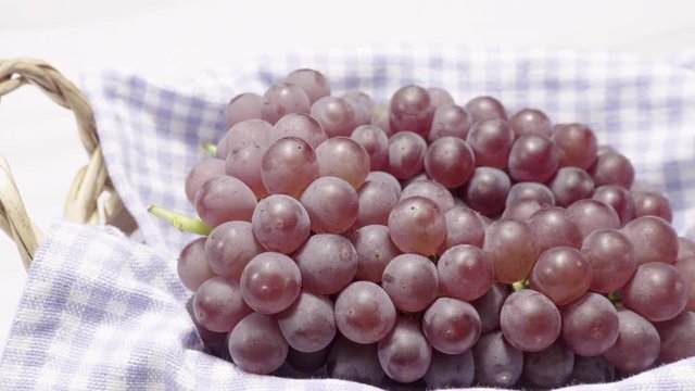 Grape in a basket (Delaware)