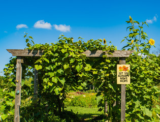 a sign of hope: wooden vine covered arbor leads to  community farm garden

