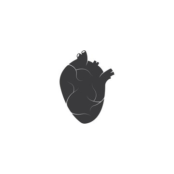 Human heart medical vector