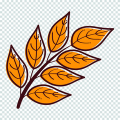 set leaf autumn element vector icon leave illustration