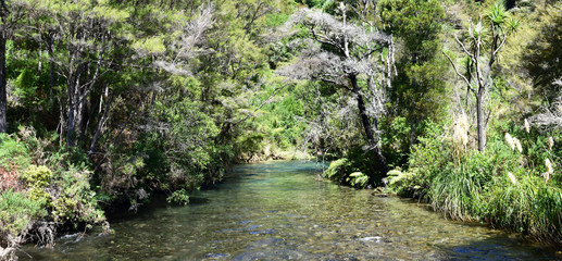 Fototapeta na wymiar Pupu freshwater springs river
