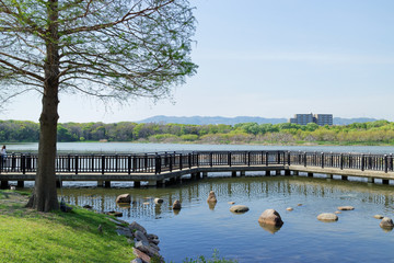 兵庫県伊丹市 昆陽池公園 野鳥観察橋