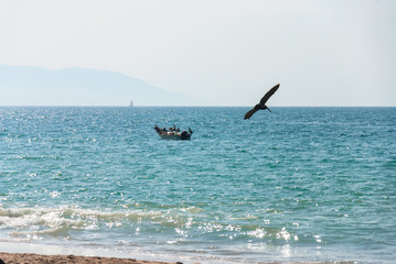 Fototapeta premium Hermosa vista en Puerto vallarta, bote con pelícanos en medio del mar.