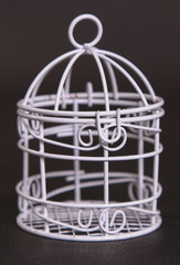 Fototapeta na wymiar globe in a cage