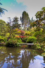 Fototapeta na wymiar Beautiful Japanese garden