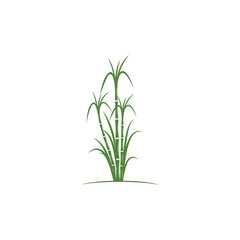 Sugar cane Logo Template vector symbol