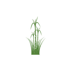Sugar cane Logo Template vector symbol