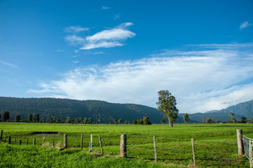 Fototapeta na wymiar ニュージーランド、南島のレイク・マセソンロードからの景色