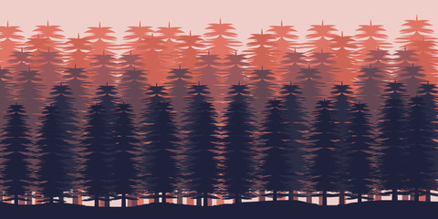 pine tree forest vector ilustration wallpaper background