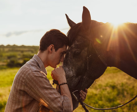Young male hugging a horse in a field under the sunlight in the evening
