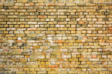 the old yellow brick wall