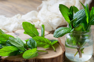 Fresh green mint leaves on a wooden stand.