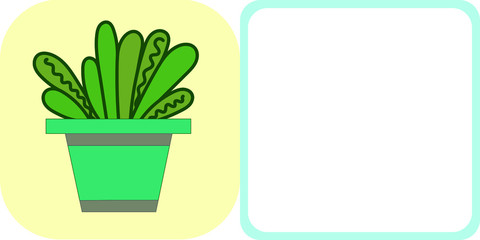 cactus in a pot postcard fern
