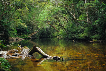 Fishing hut - Moray estate - maskeliya - Sri Paada- Adams peak - Sri lanka