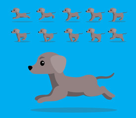 Animal Animation Sequence Dog Weimaraner Cartoon Vector