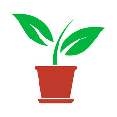 Plant In Flower Pot Icon