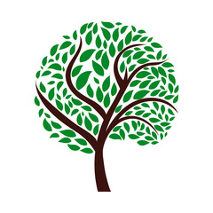 Ecological Tree With Leaves Icon