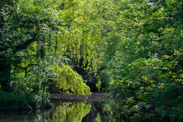 Pond At The Frankendaelpark At Amsterdam The Netherlands 17 May 2020