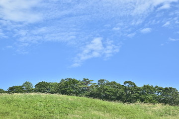 夏の高原の空