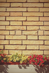 Colorful flowers on brick wall with copy space