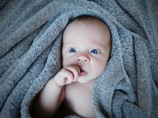 Newborn in warm soft blanket.