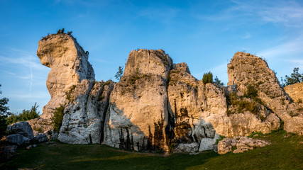 Fototapeta na wymiar formacja skalna na Wyżynie Krakowsko-Częstochowskiej 